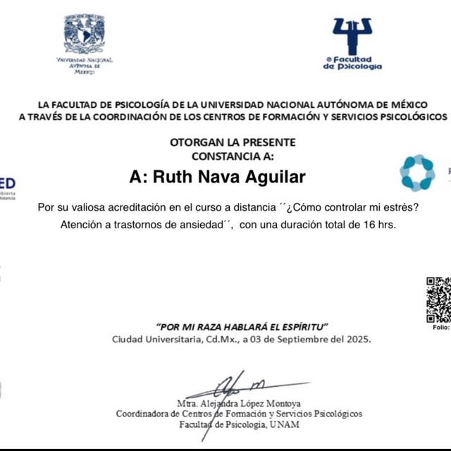 Ampliar imagen: certificate 2