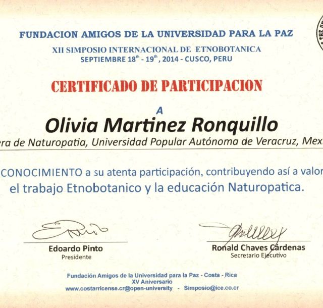 Ampliar imagen: certificate 3