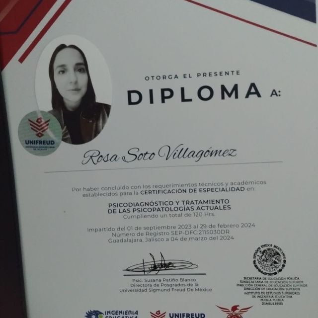 Ampliar imagen: certificate 2