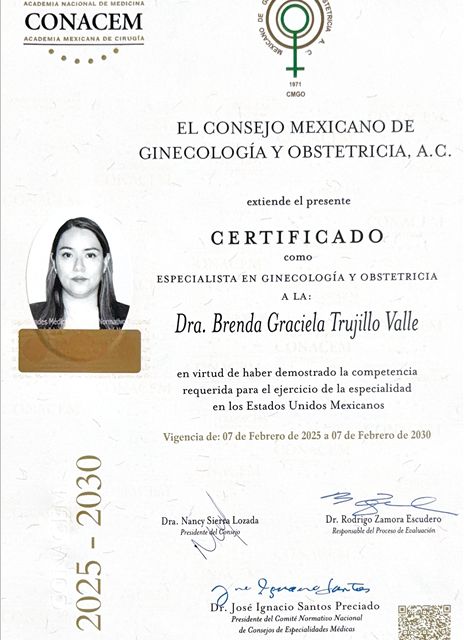 Ampliar imagen: certificate 2
