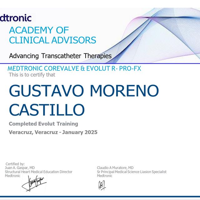 Ampliar imagen: certificate 2