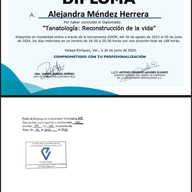 Ampliar imagen: certificate 7