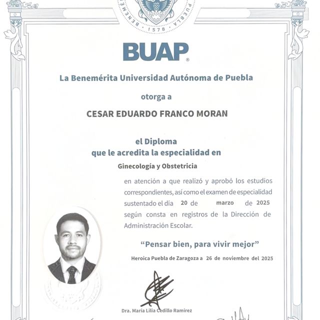 Ampliar imagen: certificate 2