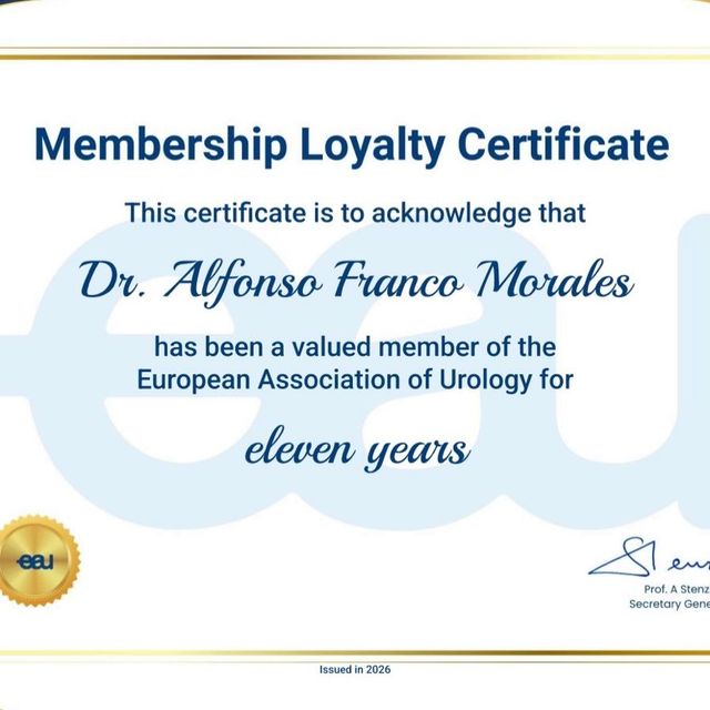 Ampliar imagen: certificate 4