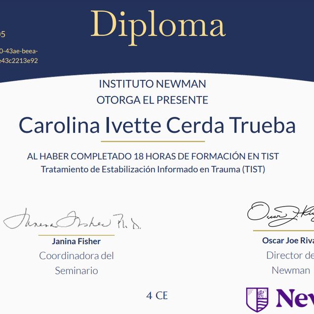 Ampliar imagen: certificate 11