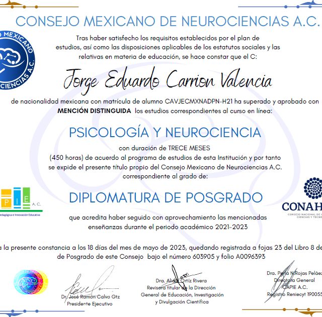 Ampliar imagen: certificate 1