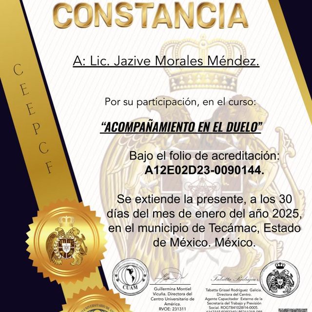 Ampliar imagen: certificate 4