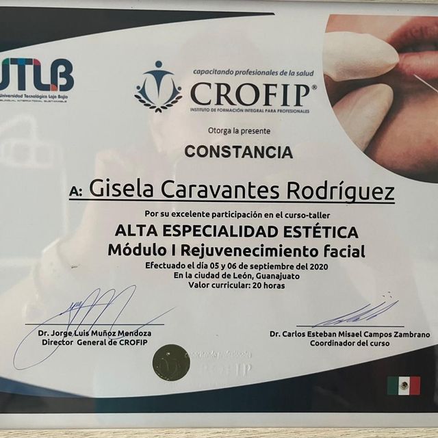 Ampliar imagen: certificate 7