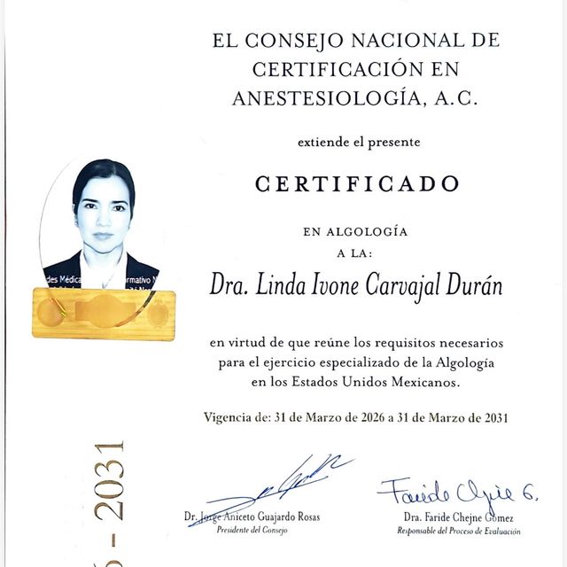 Ampliar imagen: certificate 1