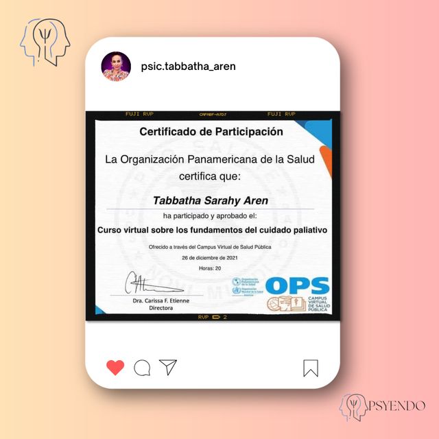 Ampliar imagen: certificate 6