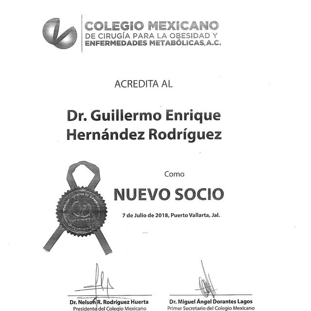 Ampliar imagen: certificate 9