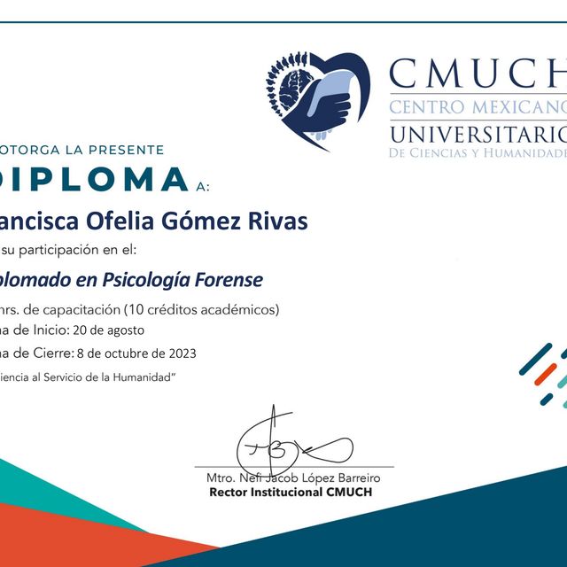 Ampliar imagen: certificate 1