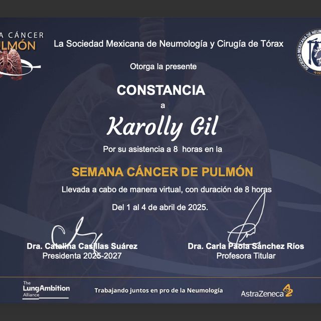 Ampliar imagen: certificate 14