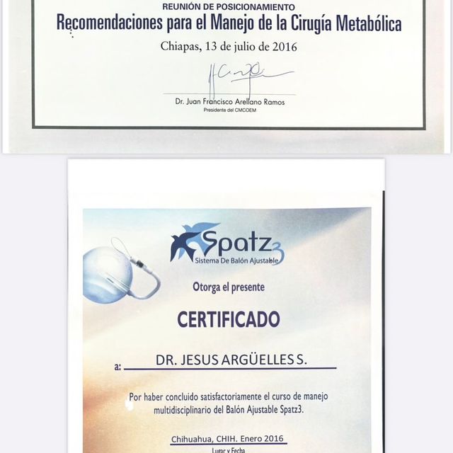Ampliar imagen: certificate 31
