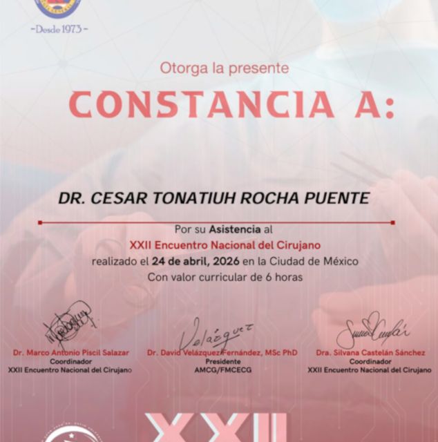 Ampliar imagen: certificate 53