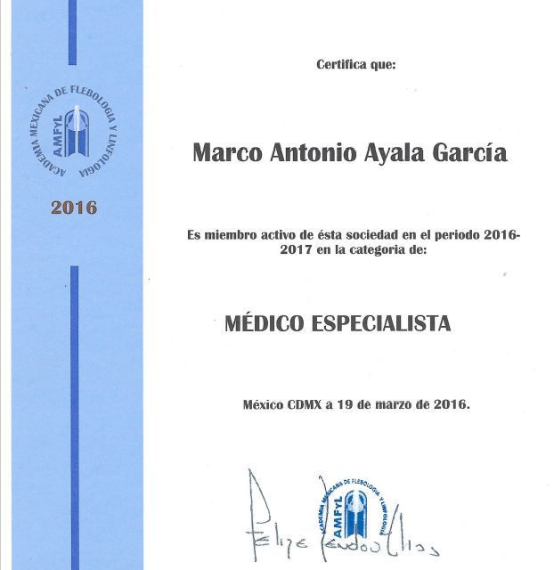 Ampliar imagen: certificate 2