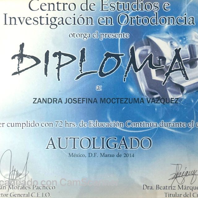 Ampliar imagen: certificate 12