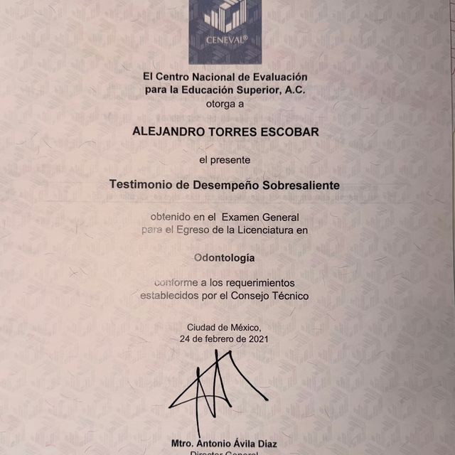 Ampliar imagen: certificate 9