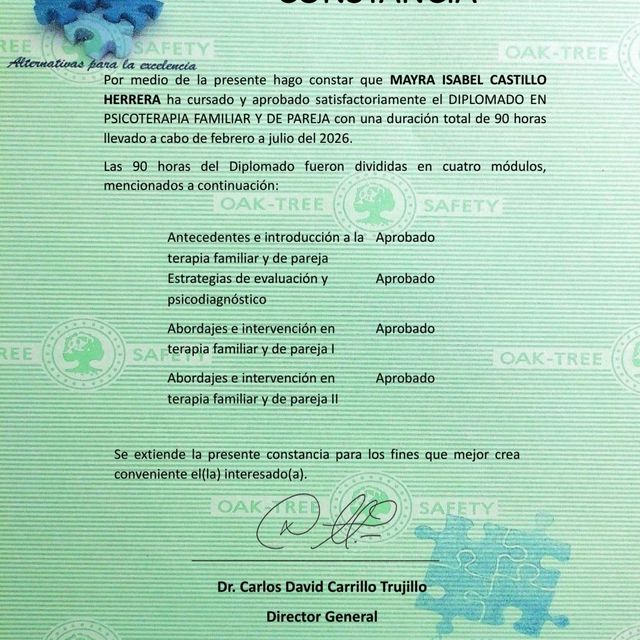 Ampliar imagen: certificate 5