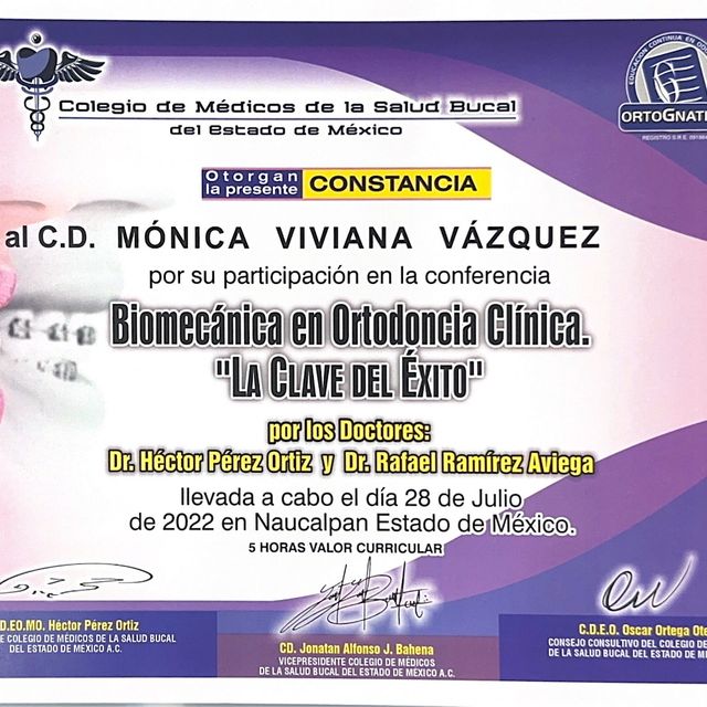 Ampliar imagen: certificate 40