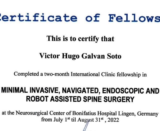 Ampliar imagen: certificate 5