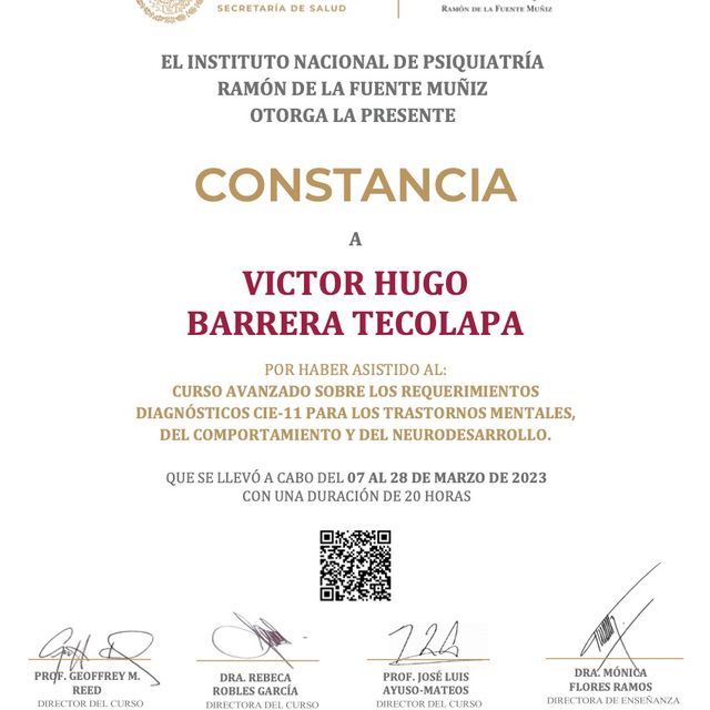 Ampliar imagen: certificate 28