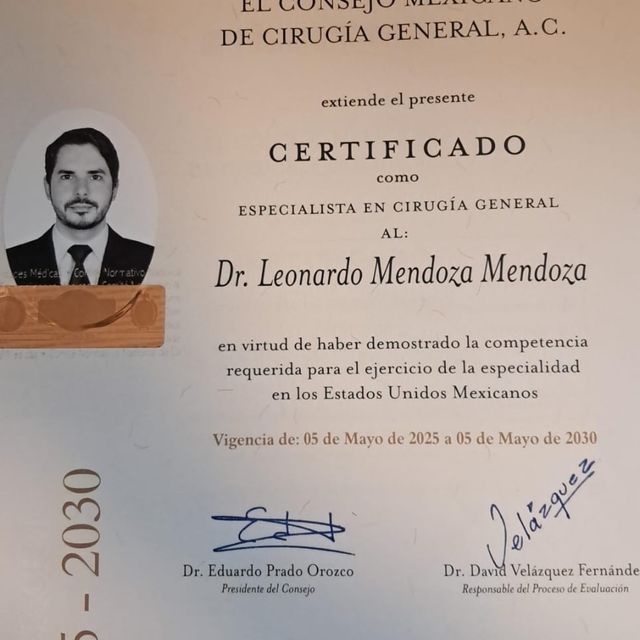 Ampliar imagen: certificate 1