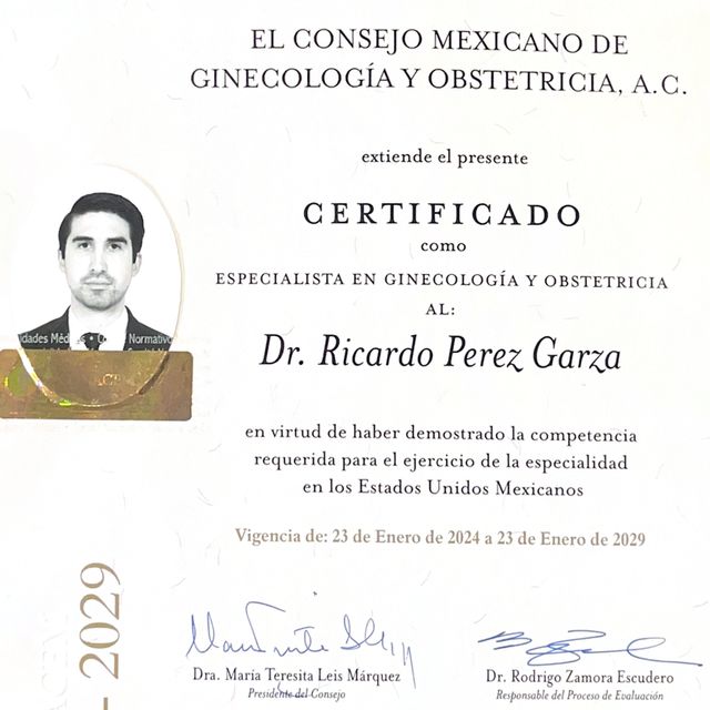 Ampliar imagen: certificate 1