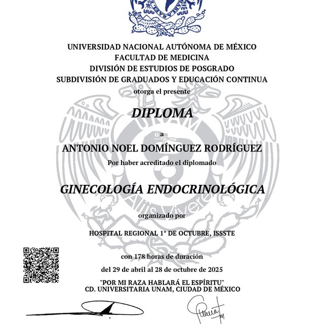 Ampliar imagen: certificate 3