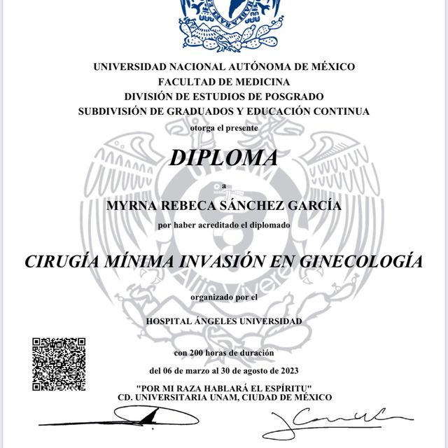 Ampliar imagen: certificate 3