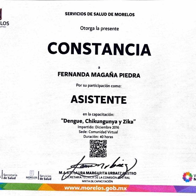 Ampliar imagen: certificate 5