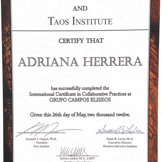 Ampliar imagen: certificate 1