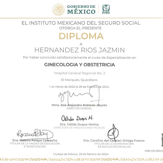Ampliar imagen: certificate 1