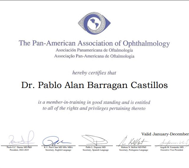 Ampliar imagen: certificate 7