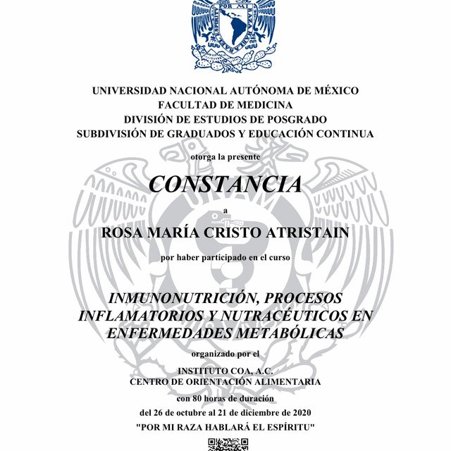 Ampliar imagen: certificate 3