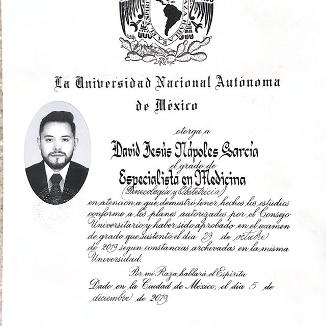 Ampliar imagen: certificate 1