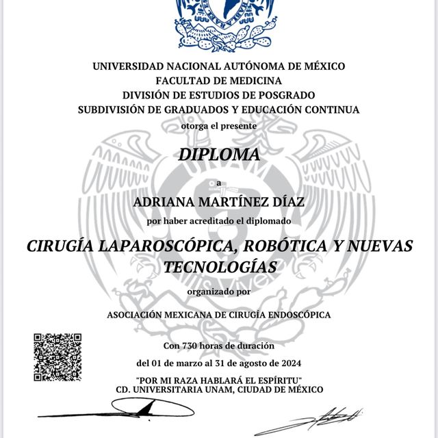 Ampliar imagen: certificate 3