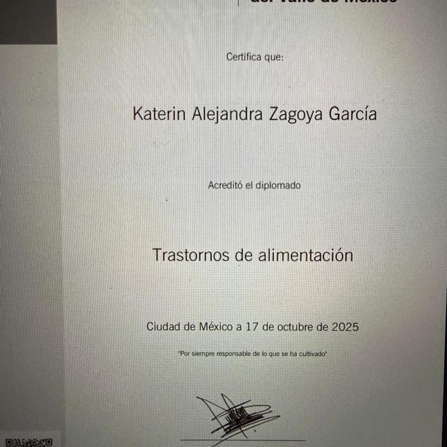 Ampliar imagen: certificate 5