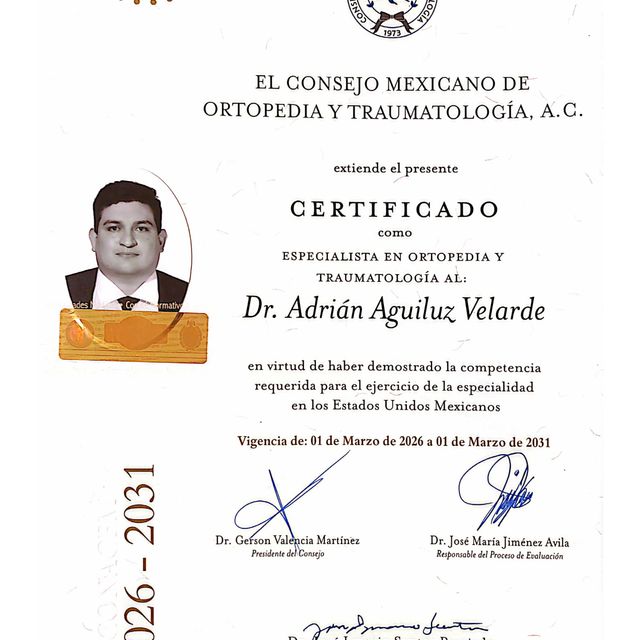 Ampliar imagen: certificate 1