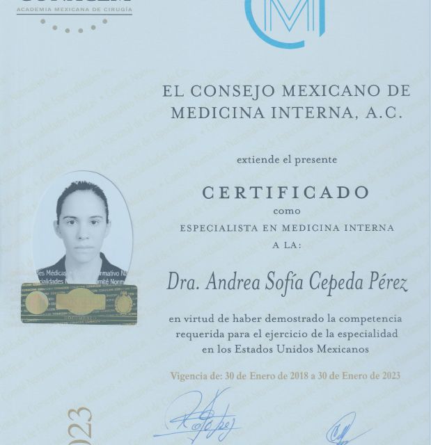 Ampliar imagen: certificate 5