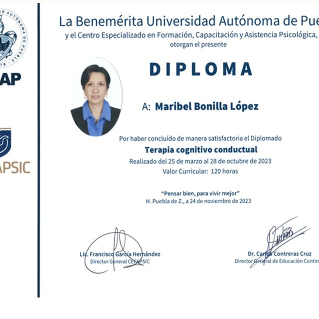 Ampliar imagen: certificate 3
