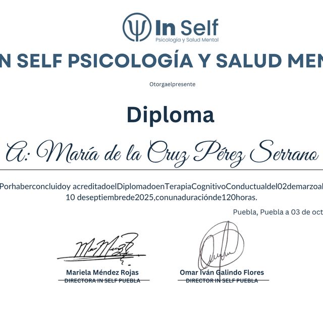 Ampliar imagen: certificate 1