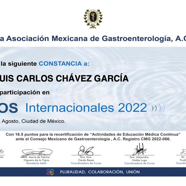 Ampliar imagen: certificate 13