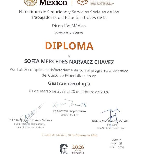 Ampliar imagen: certificate 4