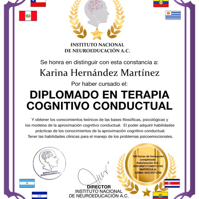 Ampliar imagen: certificate 1