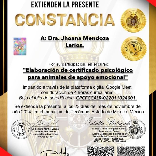 Ampliar imagen: certificate 3