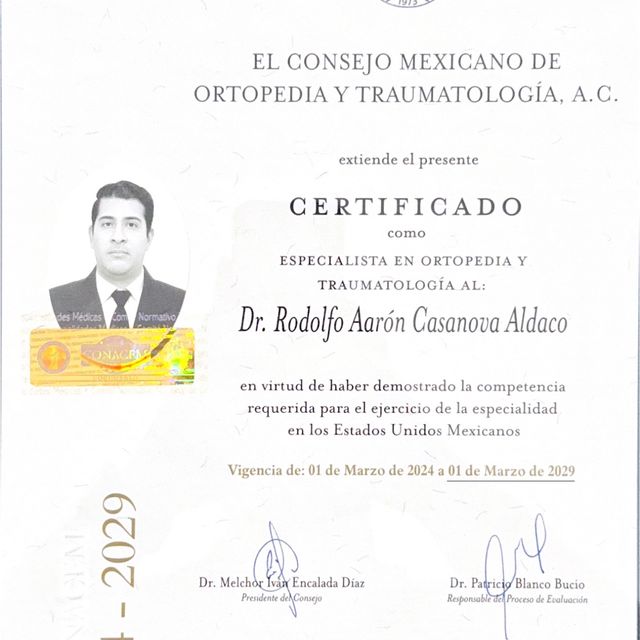 Ampliar imagen: certificate 6