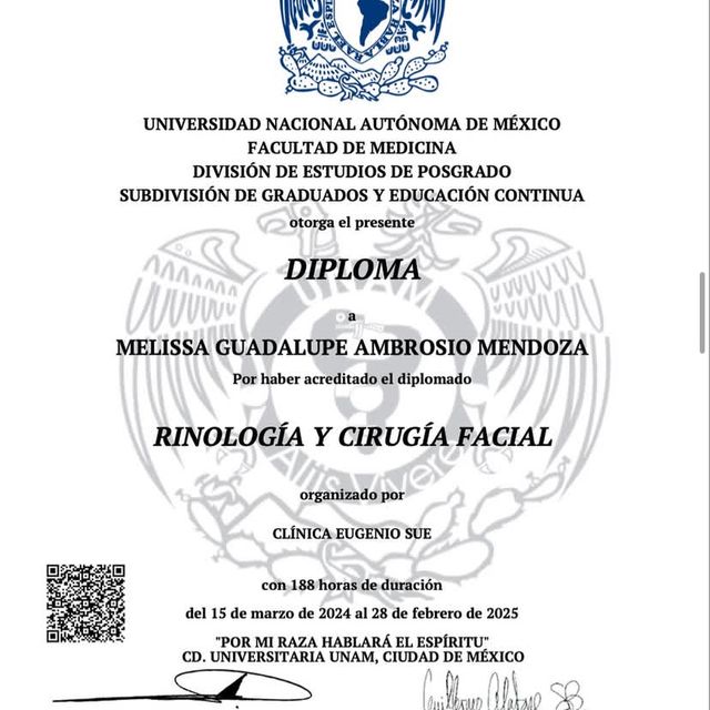 Ampliar imagen: certificate 3