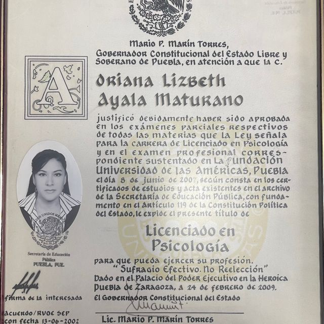 Ampliar imagen: certificate 3