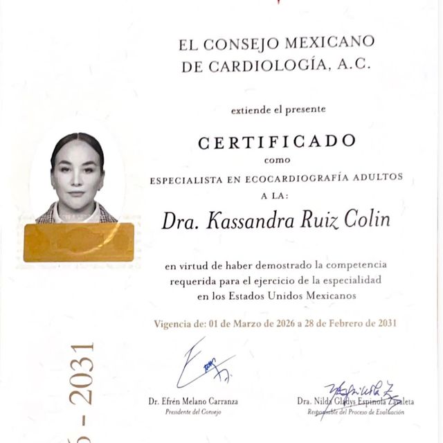 Ampliar imagen: certificate 2